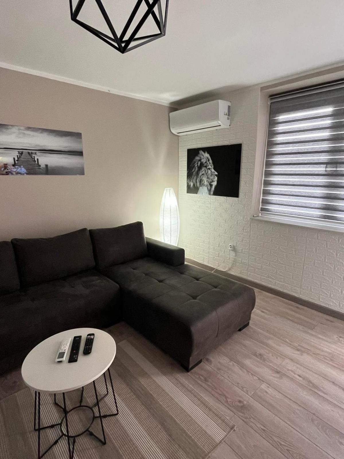 Apartman Petrov Доні-Мілановац Екстер'єр фото